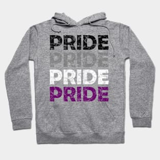 Asexual Pride Flag Colors Repeating Text Design Hoodie